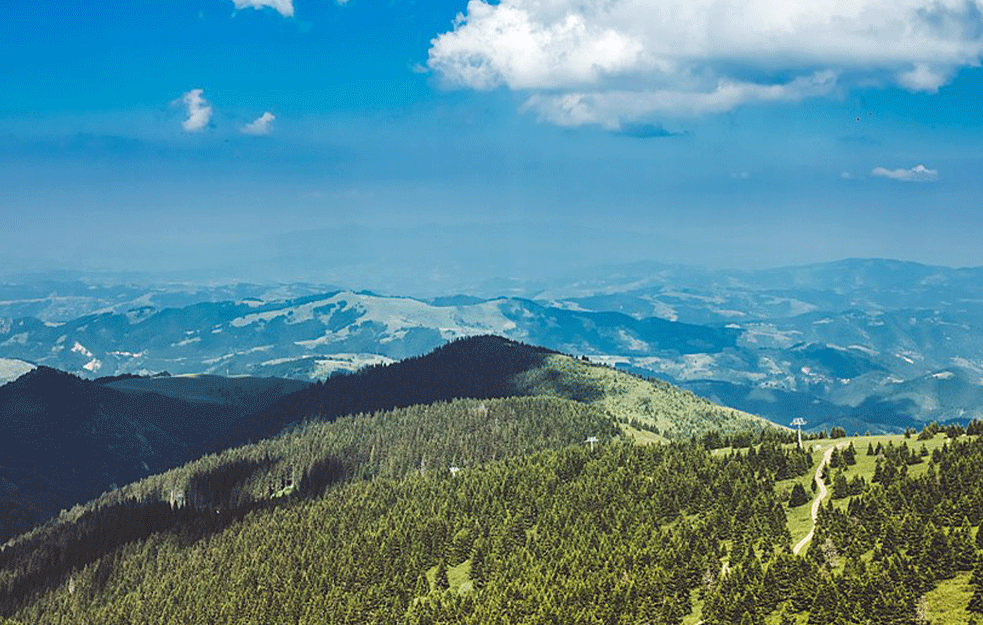 'GDE JE ŠUMA?': Kopaonik 'bez drveća', a građani u čudu! (FOTO)