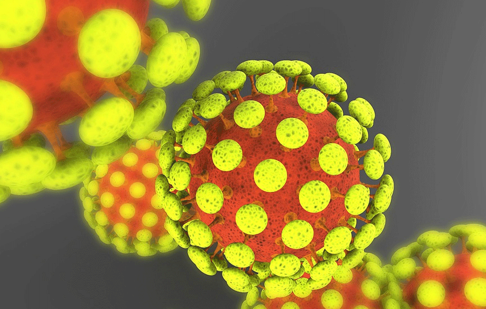 SZO: U Rusiji se nije pojavio novi virus