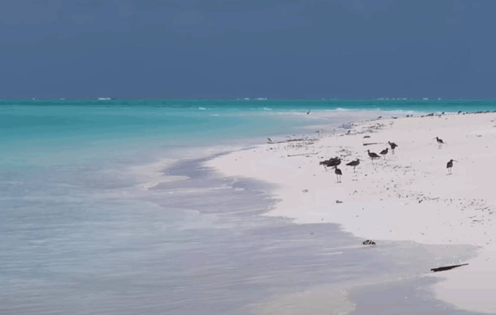 KAKVO LUDILO MOZGA! ‘NAPARITE’ oči prizorima iz ekskluzivnog letovališta privatnog rizorta ostrvceta u Zanzibaru! (VIDEO)