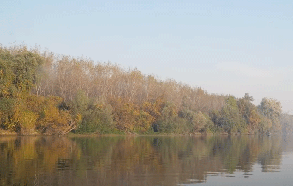 BACAMO OTPAD GDE STIGNEMO: Obustavljena plovidba na prevodnici na Tisi zbog čepa od granja i komposta