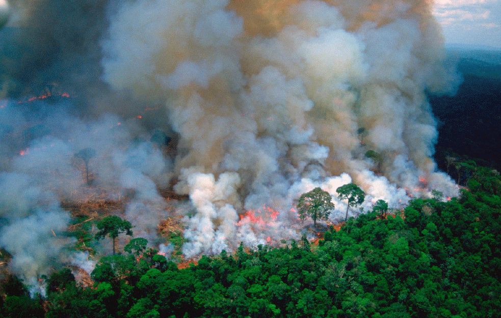 AMAZONIJA PONOVO U PLAMENU: Ovi požari mogli bi da budu pogubniji nego prošlogodišnji!