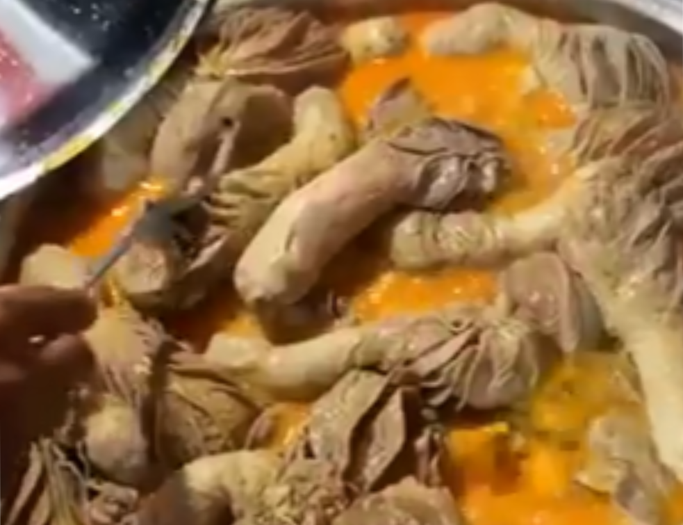 Ovo jelo je SPECIJALITET U TURSKOJ, I NE, NIJE ONO ŠTO VAM SE ČINI! (VIDEO) 