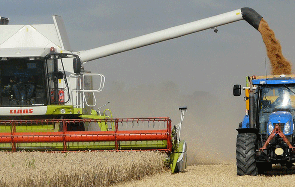 Očekuje se 3,5 miliona tona pšenice i 7 miliona tona kukuruza