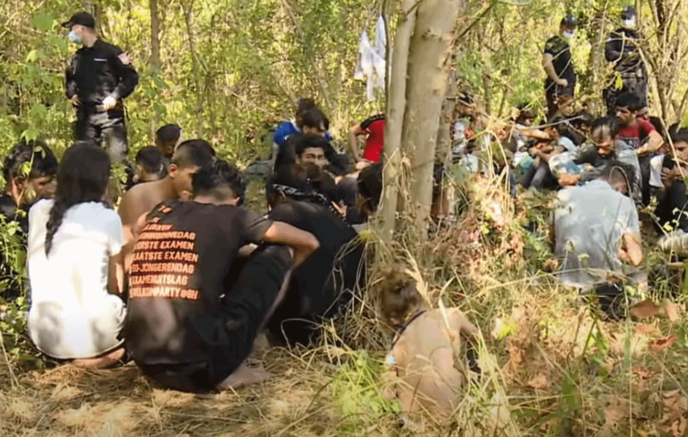 SPREČENO KRIJUMČARENJE MIGRANATA U ZVORNIKU: Pronađeno 32 ljudi afroazijskog porekla