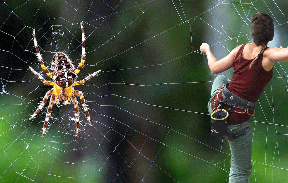 Brz i efikasan TRIK koji će oterati paukove iz vašeg doma: NAJBOLJE OD SVEGA JE ŠTO VAM JE POTREBNA SAMO JEDNA STVAR!