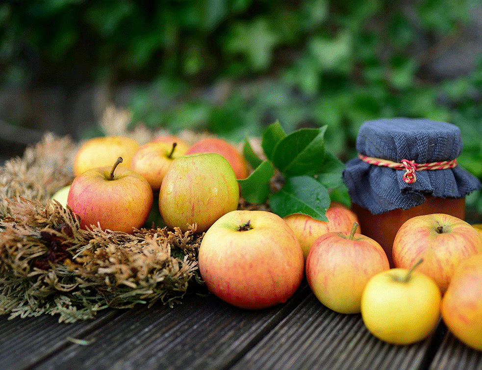 I MIRIS I UKUS: Smoothie od jabuka i orašastih plodova (RECEPT)