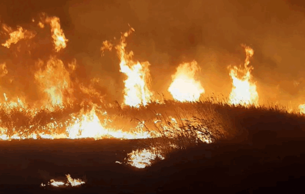 POŽARI GUTAJU ARGENTINU: Vatra stigla do kuća, evakuacija ugroženih