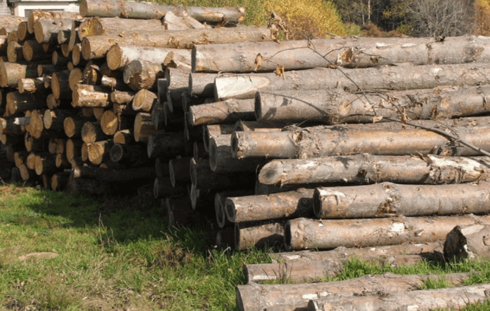 GORIVO BUDUĆNOSTI PROIZVODI SE U SRBIJI: Novo drvo, greje bolje od uglja i smanjuje trošak ogreva
