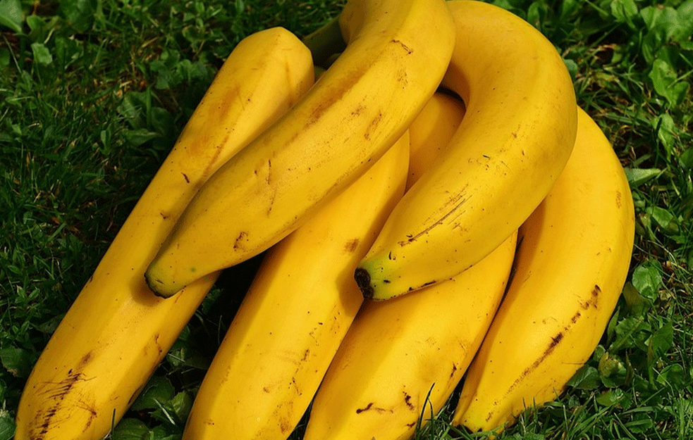 Evo kako banane utiču na vaše telo, ima i negativnih efekata