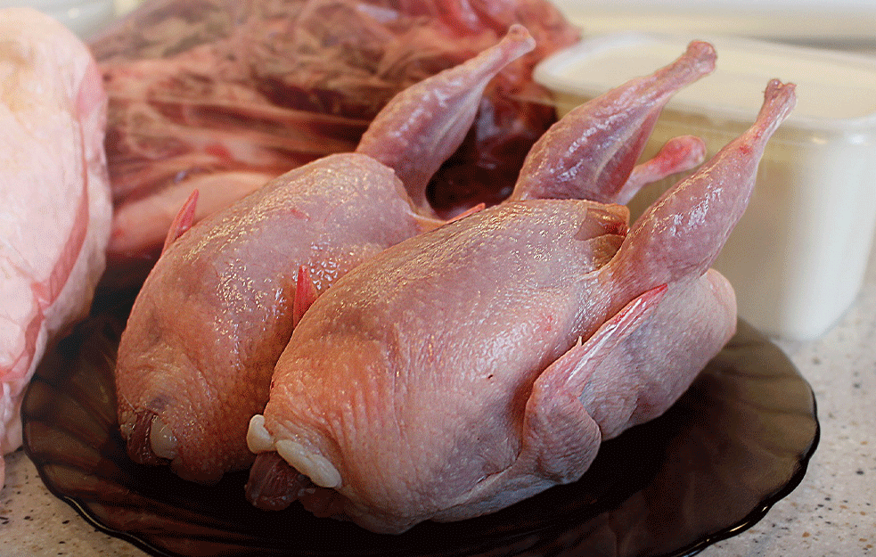 VEŠTAČKI GAJENO MESO: Piletina proizvedena u laboratoriji dobila 