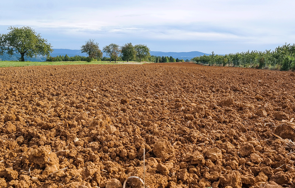 DA LI NAM PRETI GLOBALNA GLAD?  Čak 52% poljoprivrednog zemljišta u svetu degradirano