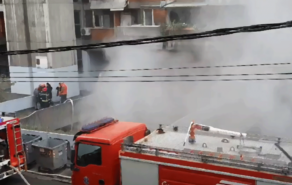 STRAŠAN POŽAR U SURČINU : Gori nisko rastinje, vatrogasci obuzdavaju vatrenu stihiju (VIDEO)