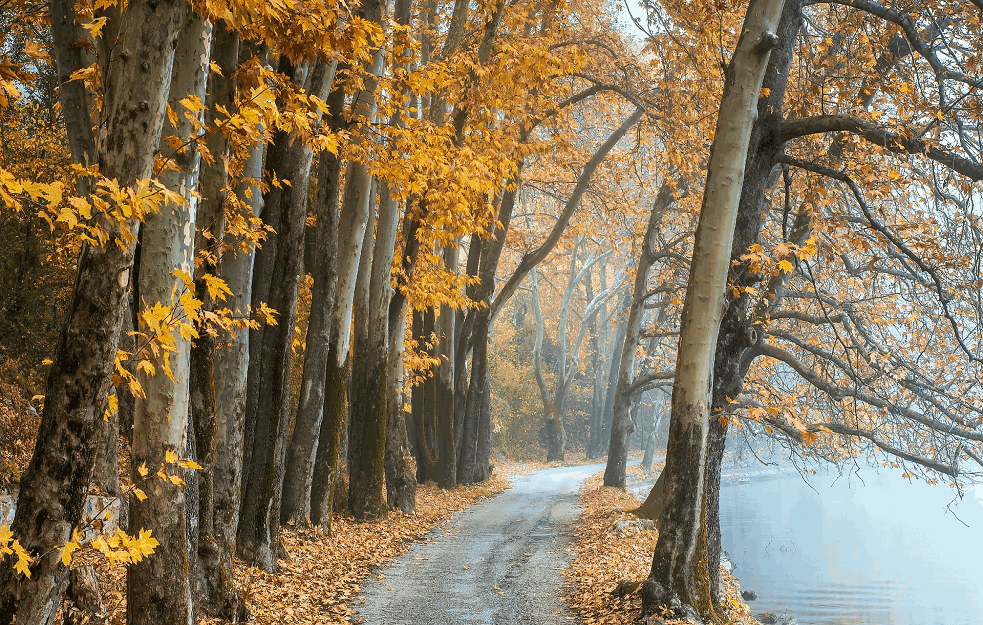 JESEN NA POMOLU: Pada temperatura i do 15 stepeni