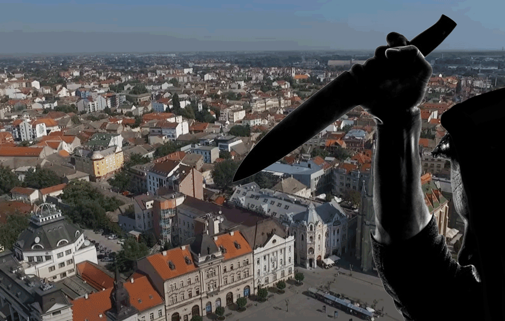 DETALJI NAPADA U NOVOM SADU: Napadači sa <span style='color:red;'><b>KAPULJAČA</b></span>MA izboli žrtvu pa ISTRČALI iz zgrade, sve snimila KAMERA (VIDEO) 