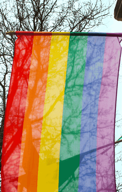 DISKRIMINACIJA NA DELU: Sud u SAD presudio u korist dizajnerke koja je odbila da radi za gej parove