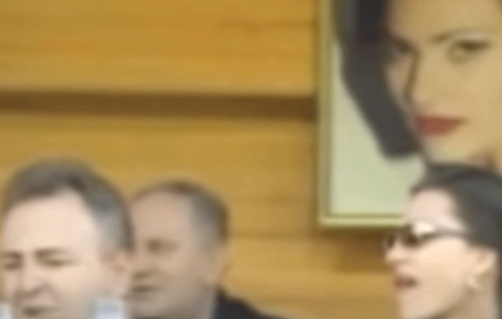 SLIKA SA OBILIĆEVOG STADIONA KOJA JE OBIŠLA SVET: Arkanov gest za Cecu sve je zadivio (VIDEO)