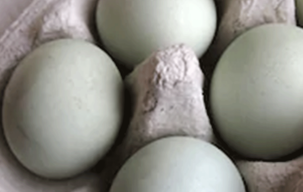 Moguća je nestašica jaja