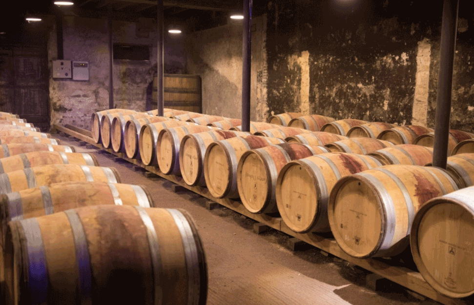 <span style='color:red;'><b>Đokovići</b></span> otvorili vinariju i lansirali svoja prva vina