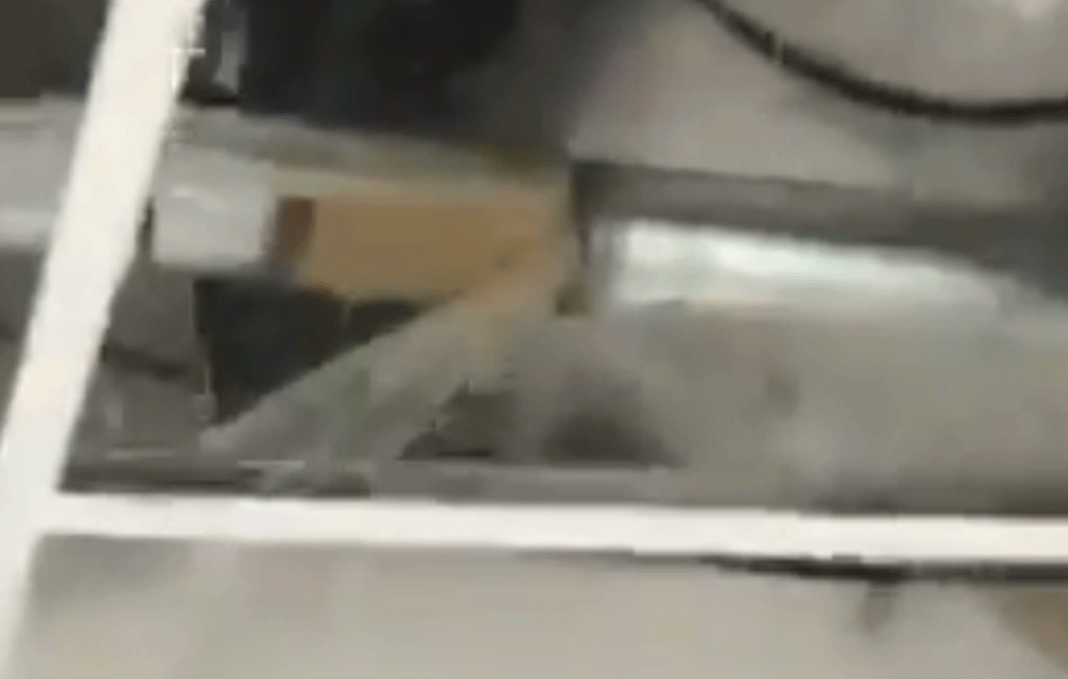 POPLAVILA KOVID BOLNICA U BATAJNICI: Voda koja šiklja iz cevi došla do <span style='color:red;'><b>članak</b></span>a! (VIDEO)