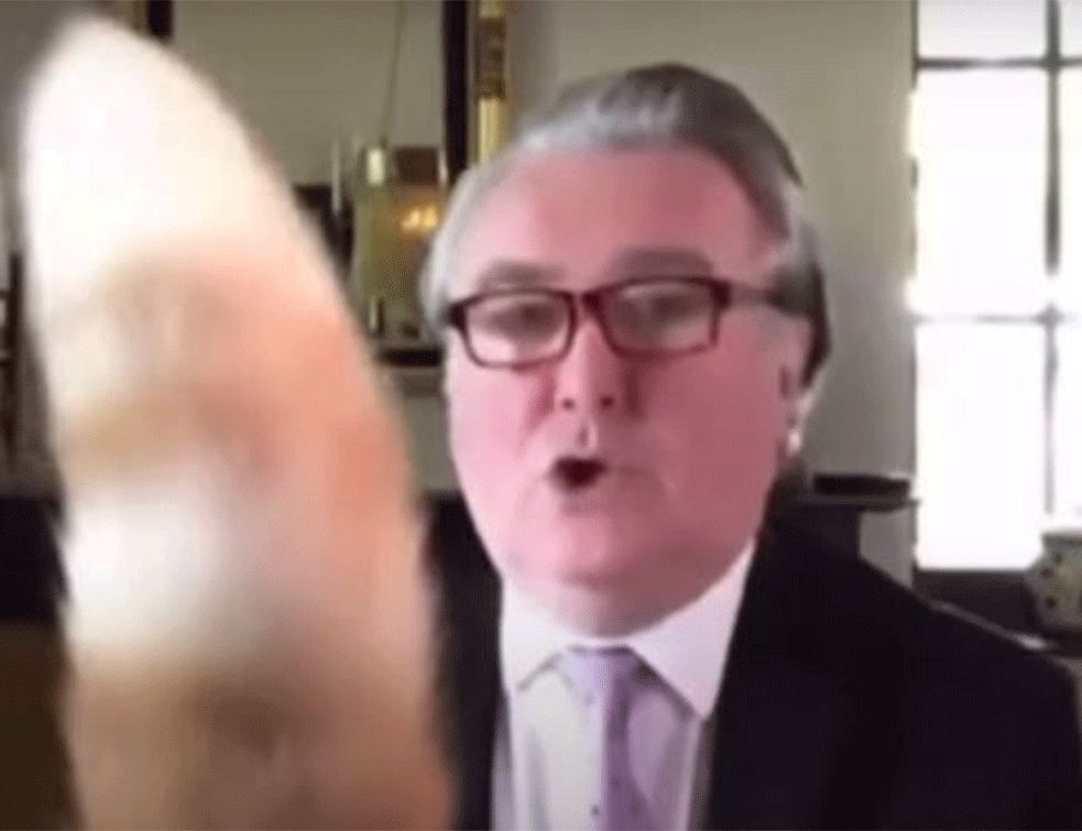 Mačak Britanskog parlamentarca postao HIT na društvenim mrežama: 'Roko, spusti rep, molim te' (VIDEO)