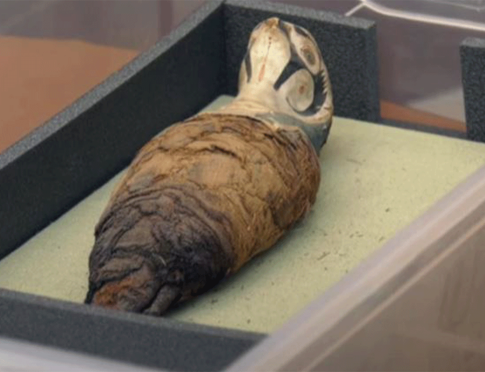 NEPROCENJIVO OTKRIĆE : Arheolozi u Egiptu pronašli dve radionice za mumifikaciju
