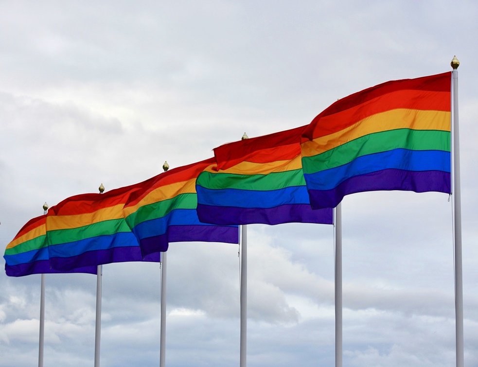 AUTOVAO SE : Prvi predsednik u baltičkim državama koji se deklarisao kao homoseksualac