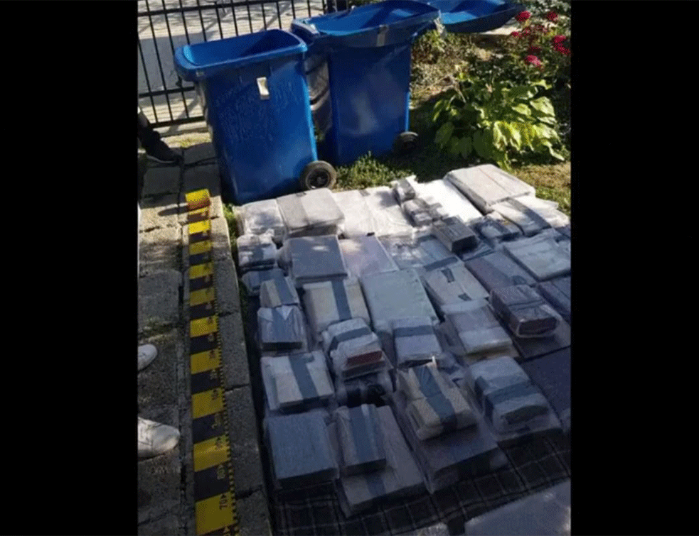 POLICIJA NA VISINI ZADATKA: Nađene ukradene knjige vredne 3 miliona (VIDEO)