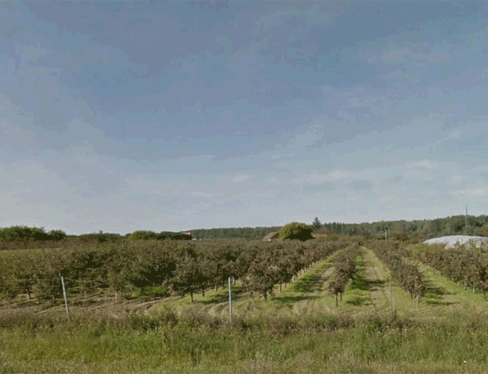 OTKRIĆE MAĐARSKE POLICIJE: Pronađen TAJNI TUNEL na granici sa SRBIJOM! 