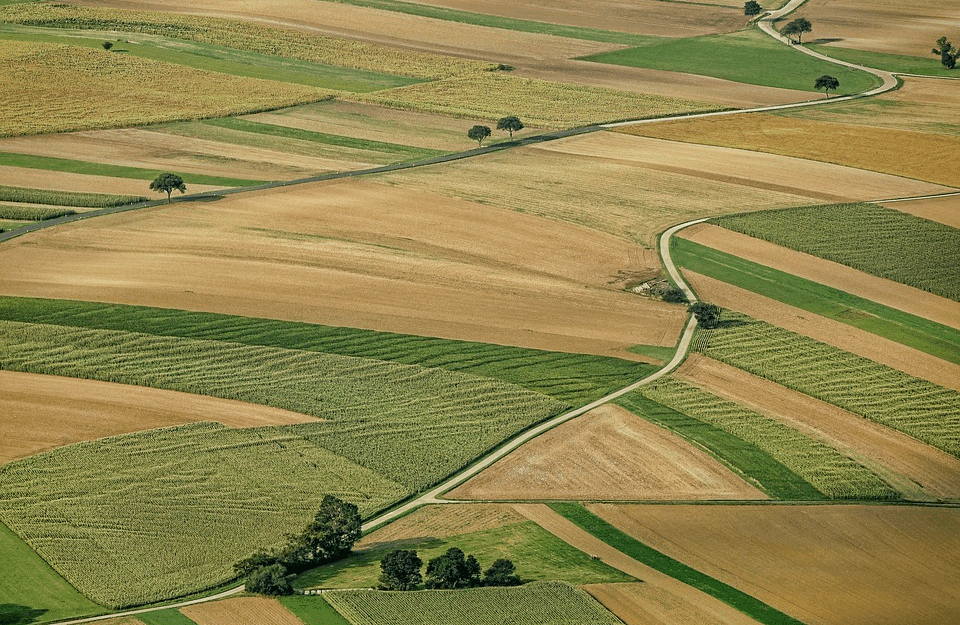 BUDŽETSKA EUTANAZIJA POLJOPRIVREDE:Država protivzakonitim smanjenjem subvencija oštetila <span style='color:red;'><b>gazdinstva</b></span>