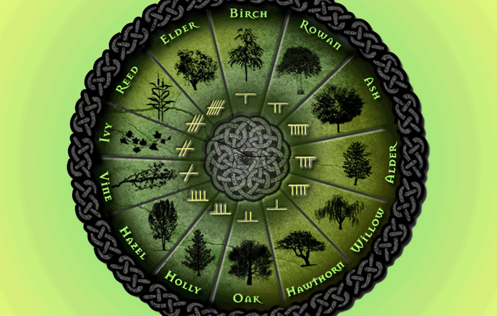 <span style='color:red;'><b>KELTSKI HOROSKOP</b></span>! U kom drvetu živi vaša duša i šta ono predstavlja?