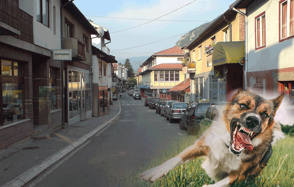 <span style='color:red;'><b>LUTALICE</b></span> IZUJEDALE ČOVEKA U PRIJEPOLJU: Pao je sav krvav na zemlju! Bila sam zatečena jer niko nije hteo da pomogne!