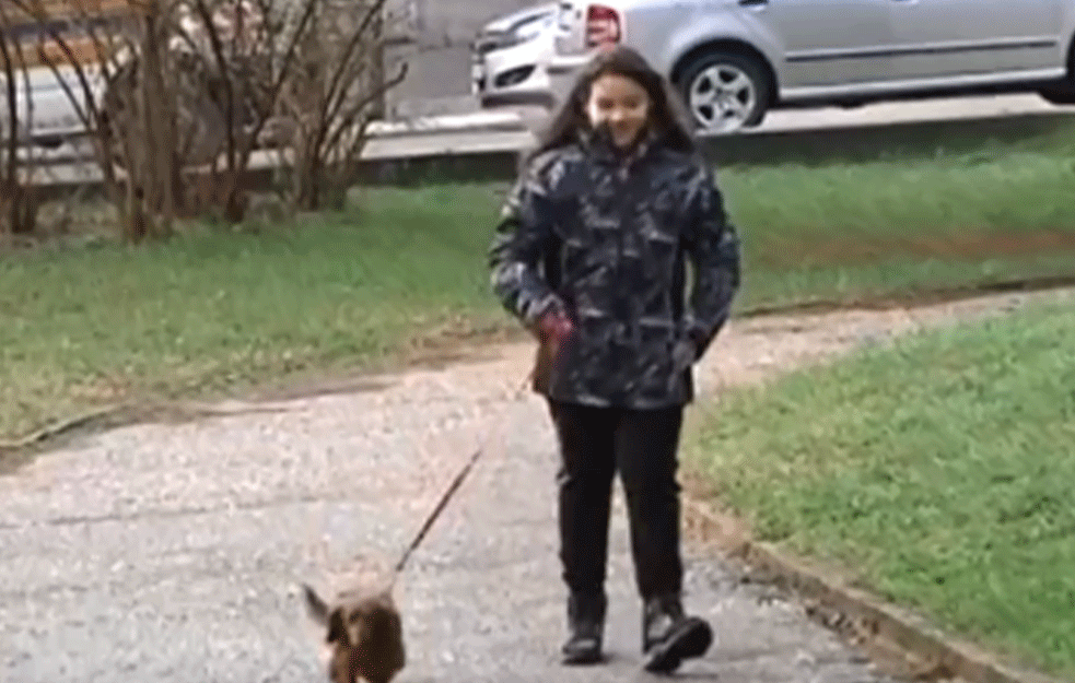 DEVOJČICA IZ PROKUPLJA ODUŠEVILA SRBIJU: Hana (11) šeta kučiće kako bi zaradila za one koji nemaju dom!