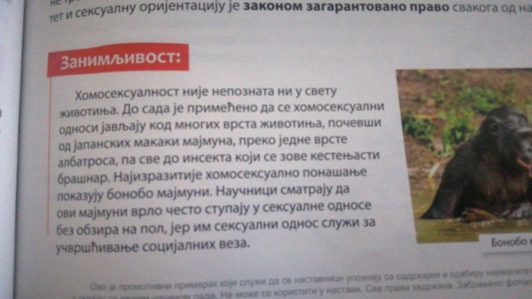 Foto: IFamNews/ Printscreen