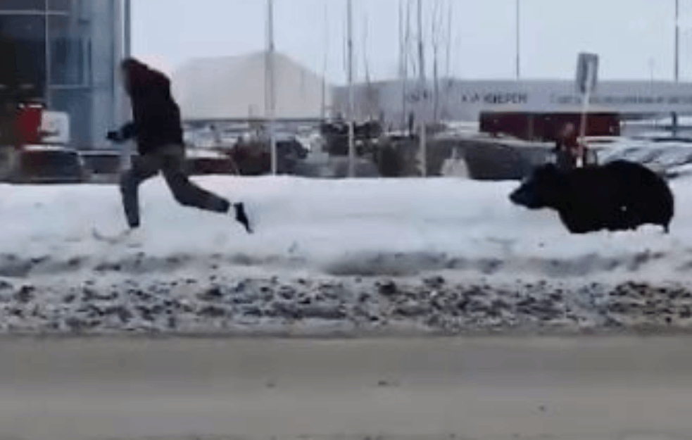NEVEROVATAN PRIZOR: Medved PROTUTNJAO kroz centar grada jureći muškarca (VIDEO)
