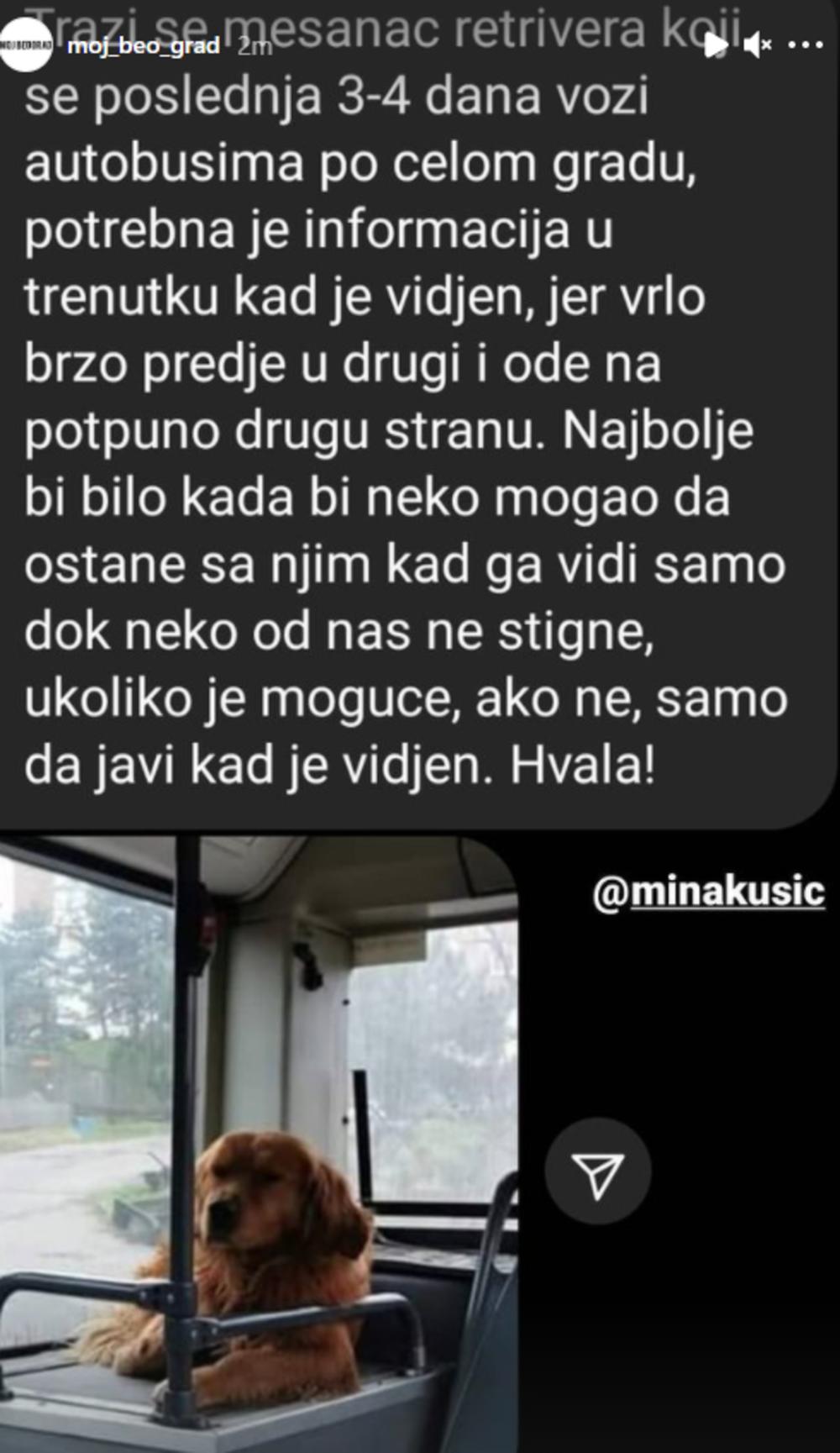 Foto: Instagram/Printscreen/Moj_beo_grad