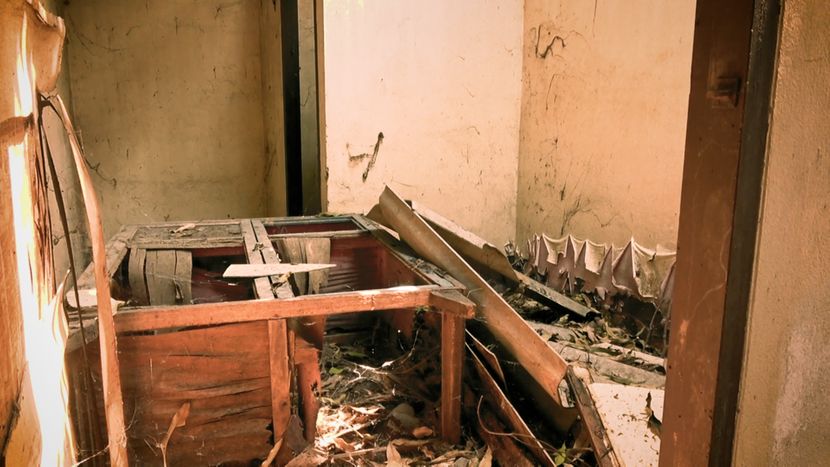 Foto: Printscreen/Newsflare