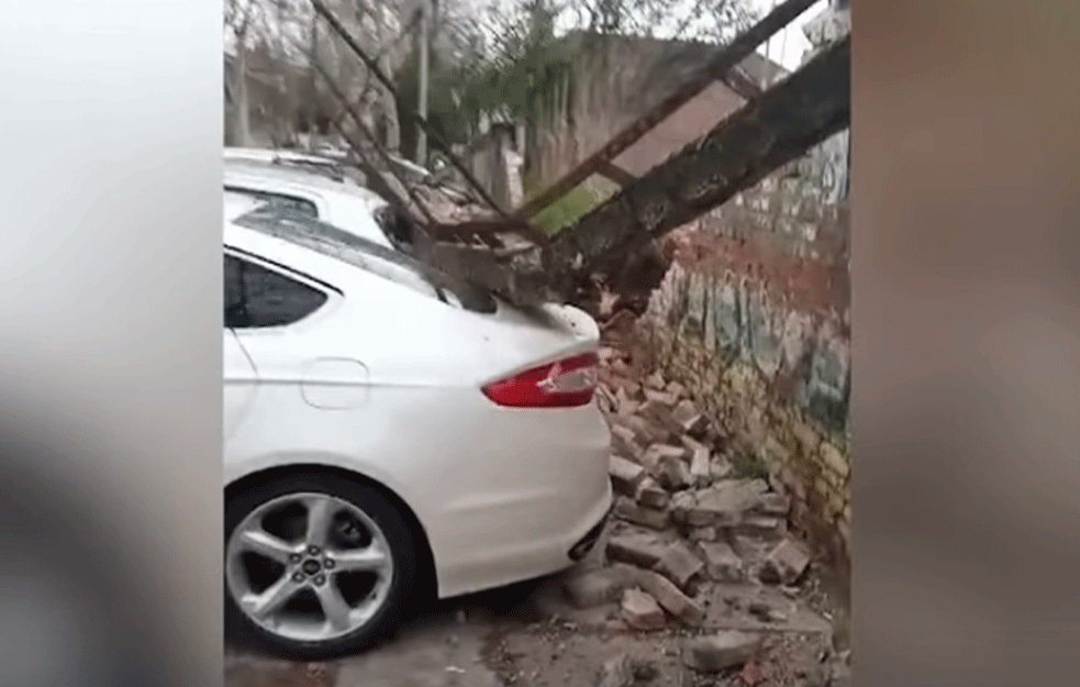 Foto: Youtube/Pink.rs