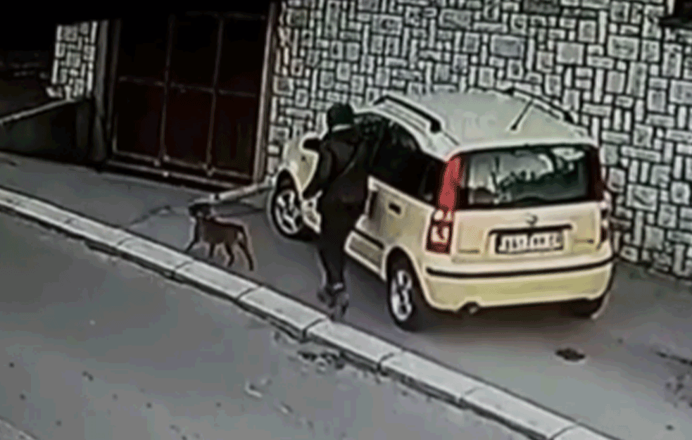 SVAĐA NA DRUŠTVENIM MREŽAMA ZBOG SNIMKA: Šetao psa, pa predmetom IZGREBAO AUTO! (VIDEO)