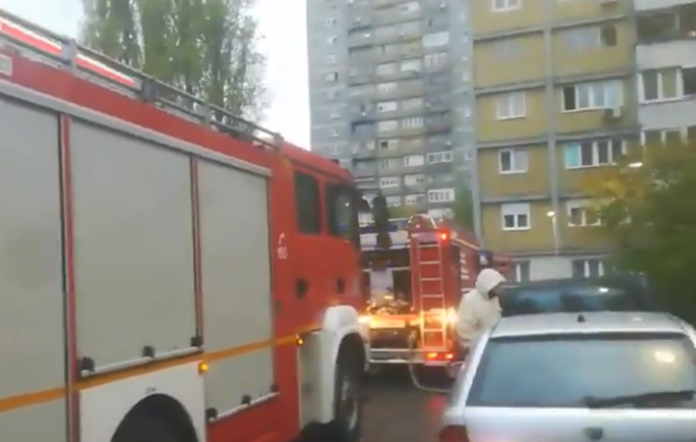 IZBIO VELIKI POŽAR na Novom Beogradu! Evakuisana i trudnica (VIDEO)