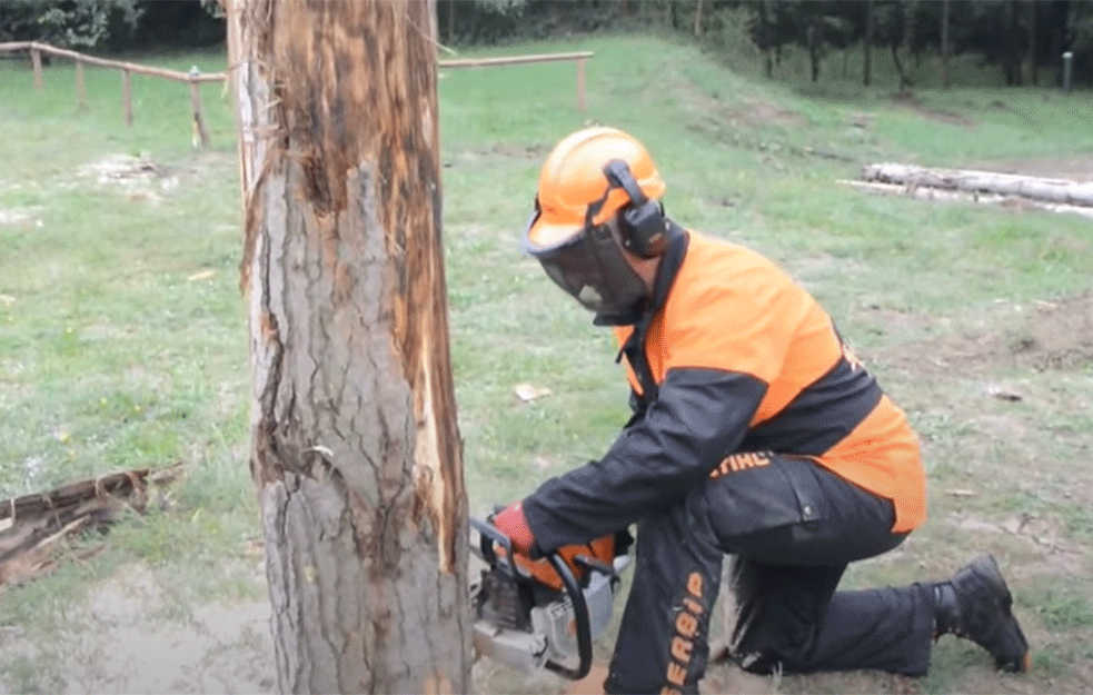 TRAGEDIJA U BREZOVICI KOD VALJEVA: Poginuo dok je sekao drva