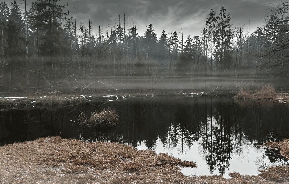 PRONAĐENO BEŽIVOTNO TELO KOD BJELJINE: Iz MULJA i OTPADA izvučen LEŠ MUŠKARCA!