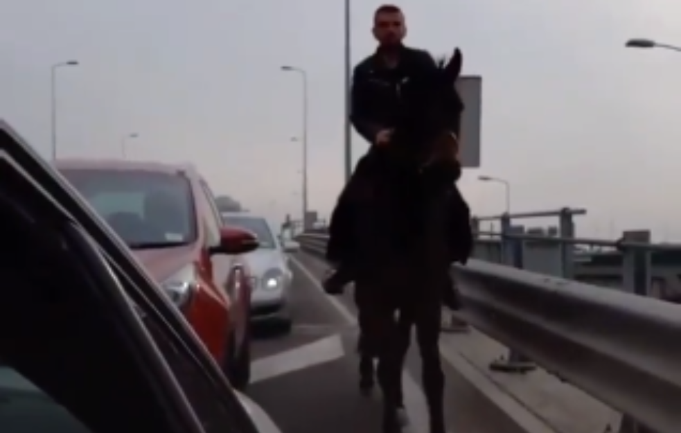 KONJEM PREKO MOSTA NA ADI! Dok automobili stoje zaglavljeni BEOGRAĐANIN IH LAGANIM KASOM OBIŠAO, svi mu APLAUDIRAJU! (VIDEO) 
