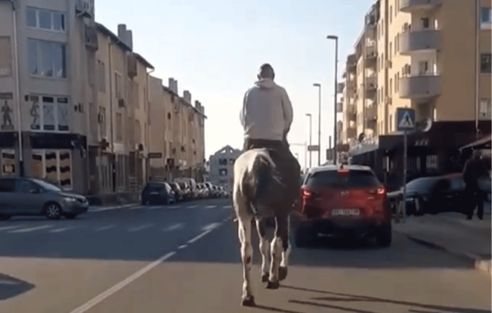 URNEBESNA SCENA NA CERAKU! Hit snimak konja u galopu ostavio ljude u neverici: Odjahao do prodavnice (VIDEO)