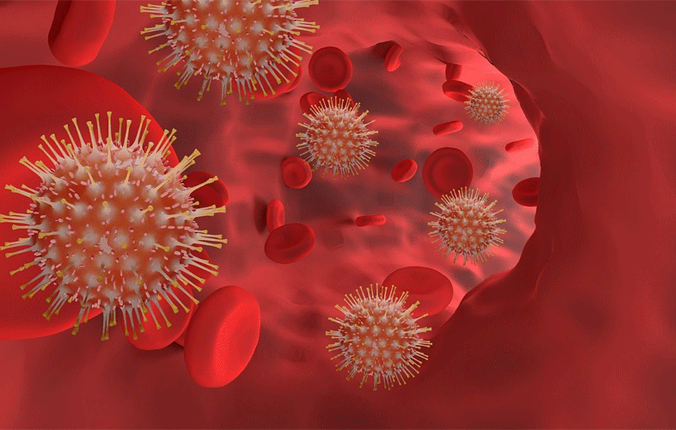 <span style='color:red;'><b>Antitela</b></span> protiv korona virusa ostaju u organizmu mnogo duže nego što se prvobitno mislilo