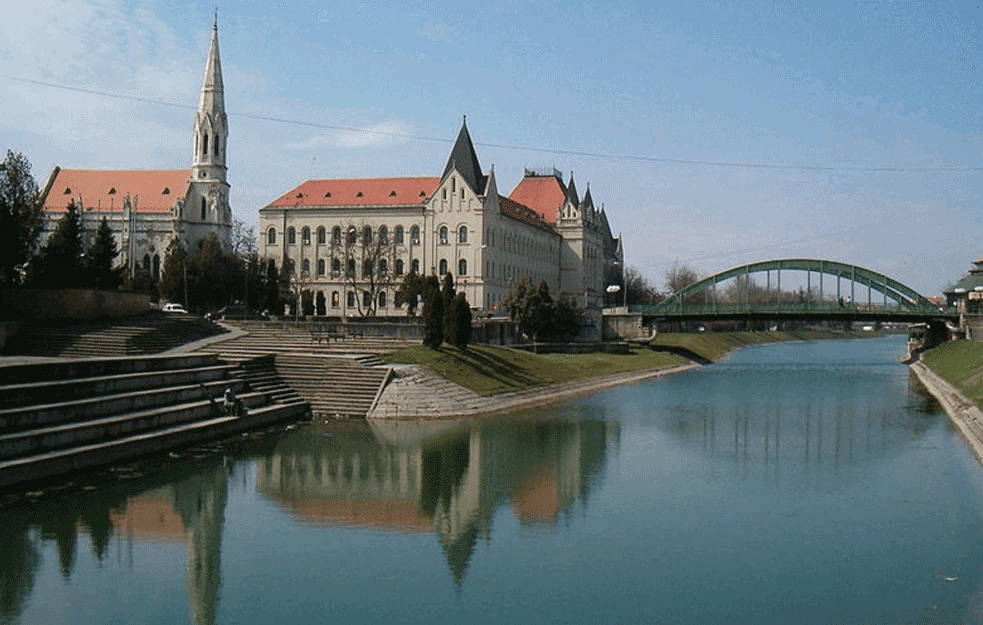 ZRENJANINOM SE ŠIRI NEPRIJATAN MIRIS, REKOM PLUTAJU MRTVE RIBE: U vodi bilo i rakova, žaba, a da sada smrdi kao septička jama (FOTO)
 