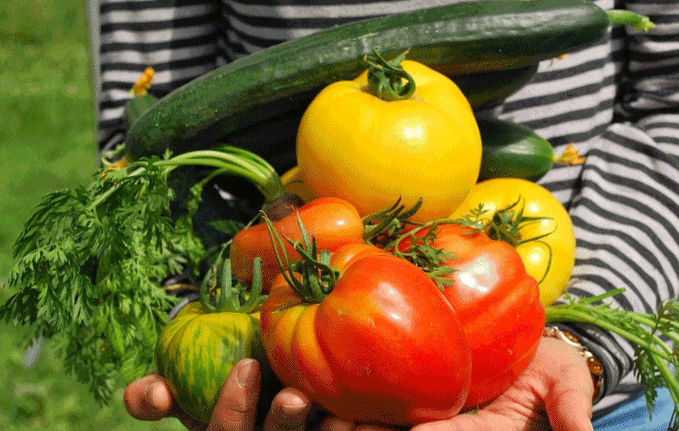Najekonomičnije povrće koje možete da gajite u bašti