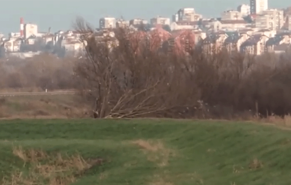 Urbanizacija Makiškog polja uništiće prirodu? Zbog metroa sledi seča drveća, isušivanje, nasipanje peskom...