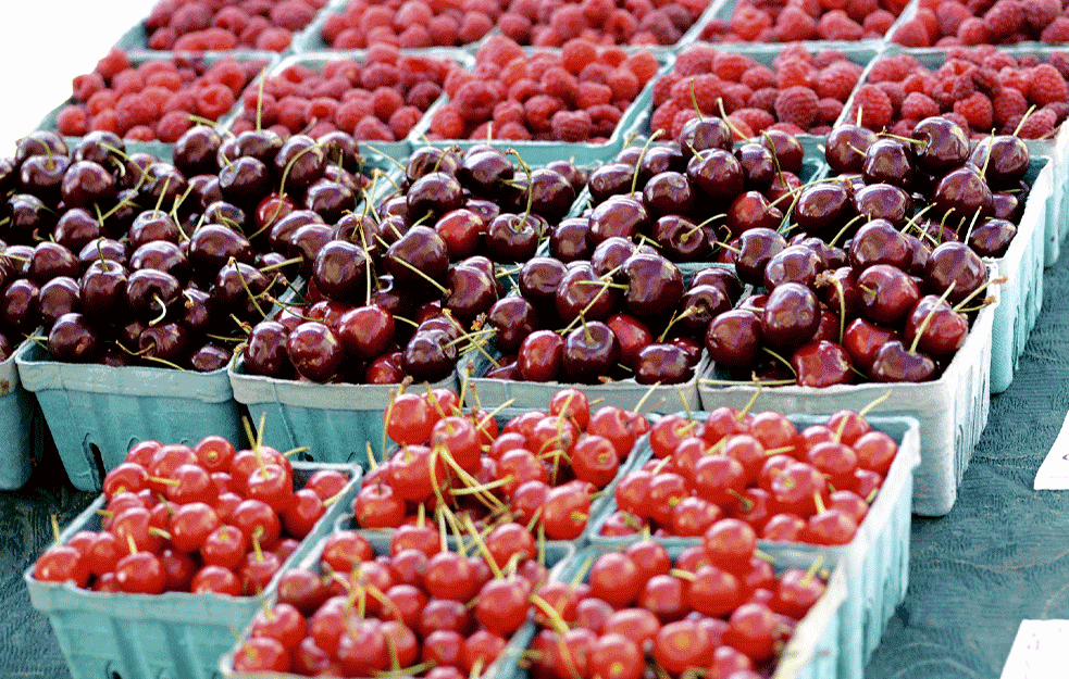 SPREMITE SE ZA ŠOK: Pravite džemove, <span style='color:red;'><b>cena ulja</b></span> raste zbog suncokreta