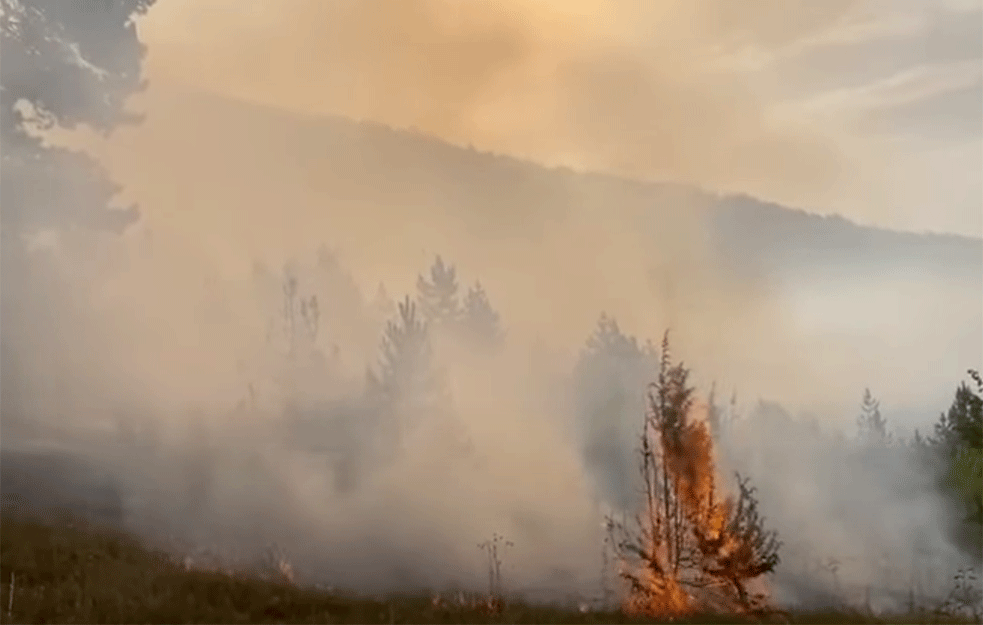 BESNI POŽAR NA KOSOVU! Vatra zahvatila šumu u nacionalnom parku PROKLETIJE