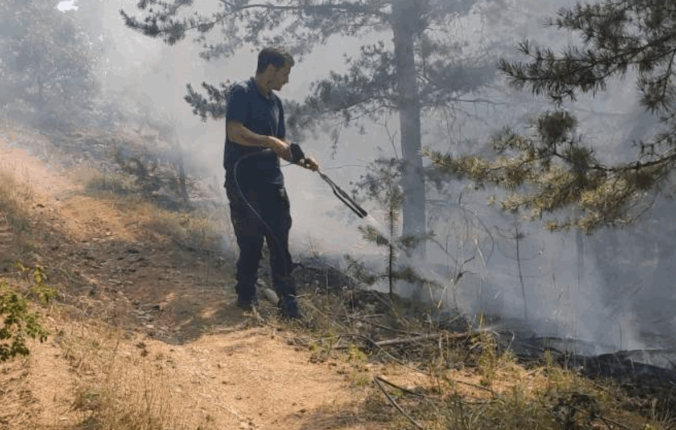 GORI VRANJE I <span style='color:red;'><b>BOSILEGRAD</b></span>: Aktivna TRI POŽARA, zbog nepristupačnog terena VATRA I DALJE TINJA! (VIDEO)